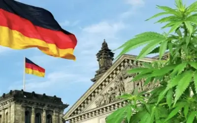 Legalización del cannabis en Alemania, un negocio millonario